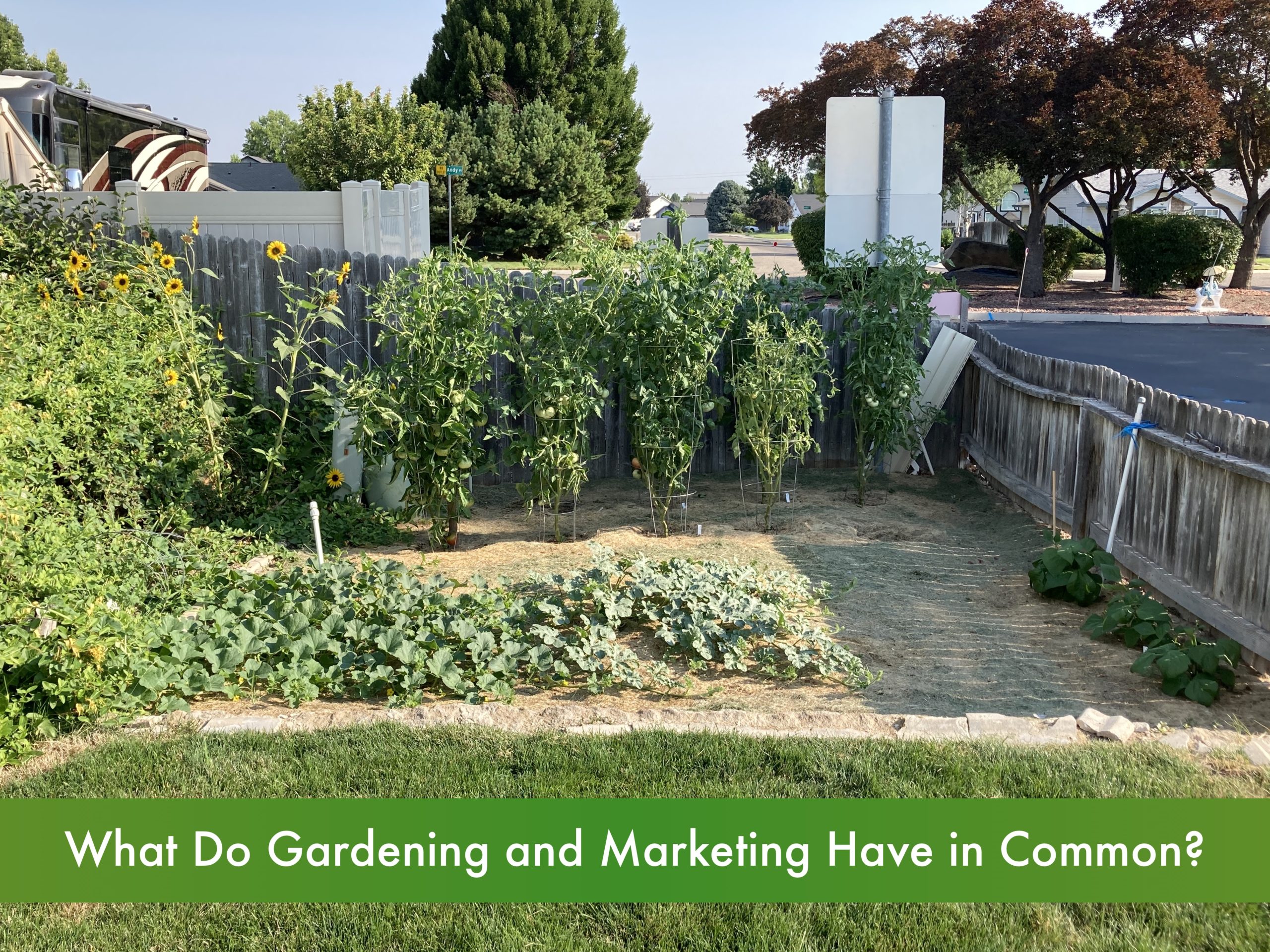 Garneding_Marketing