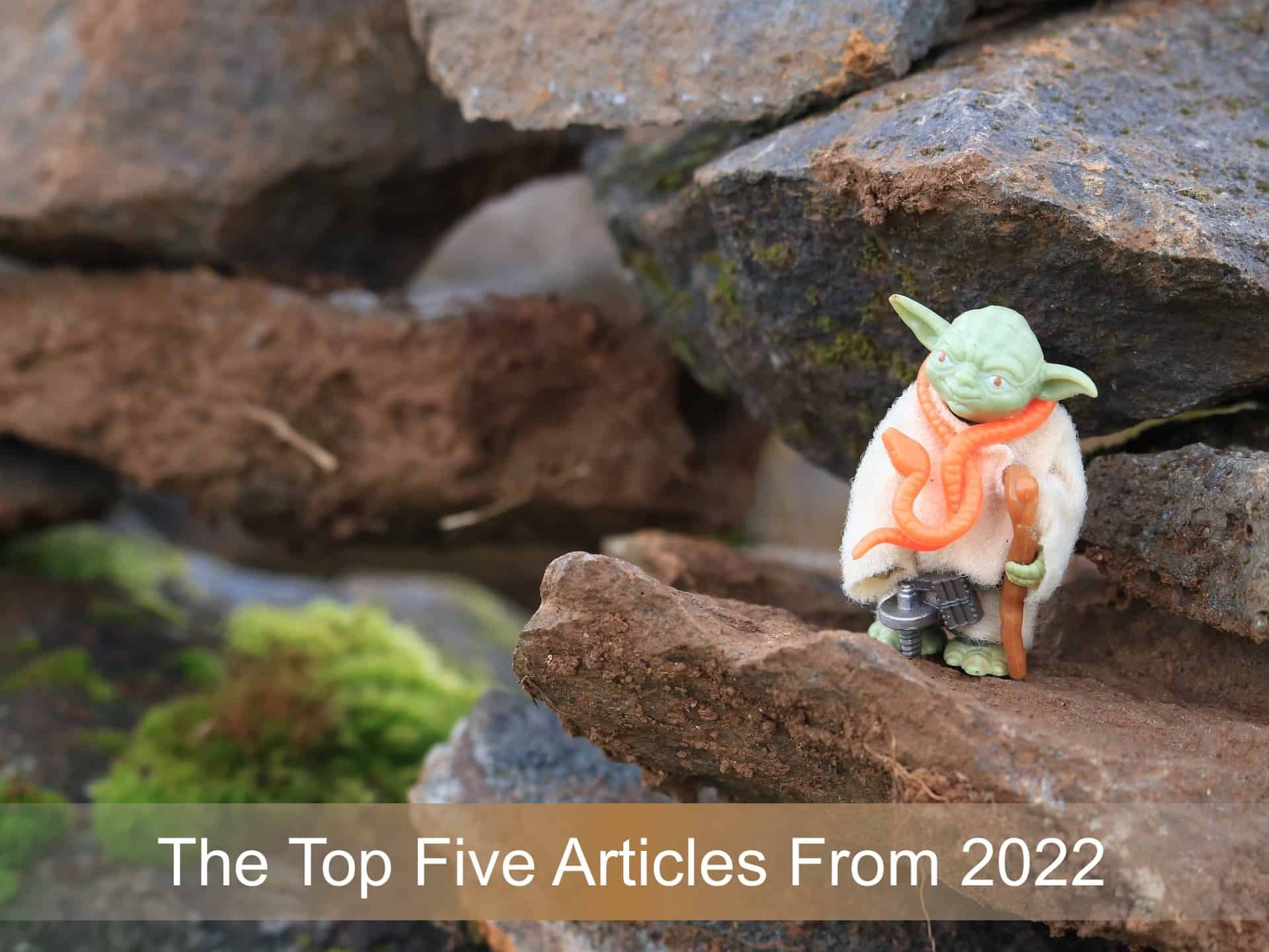 Top_Five_2022
