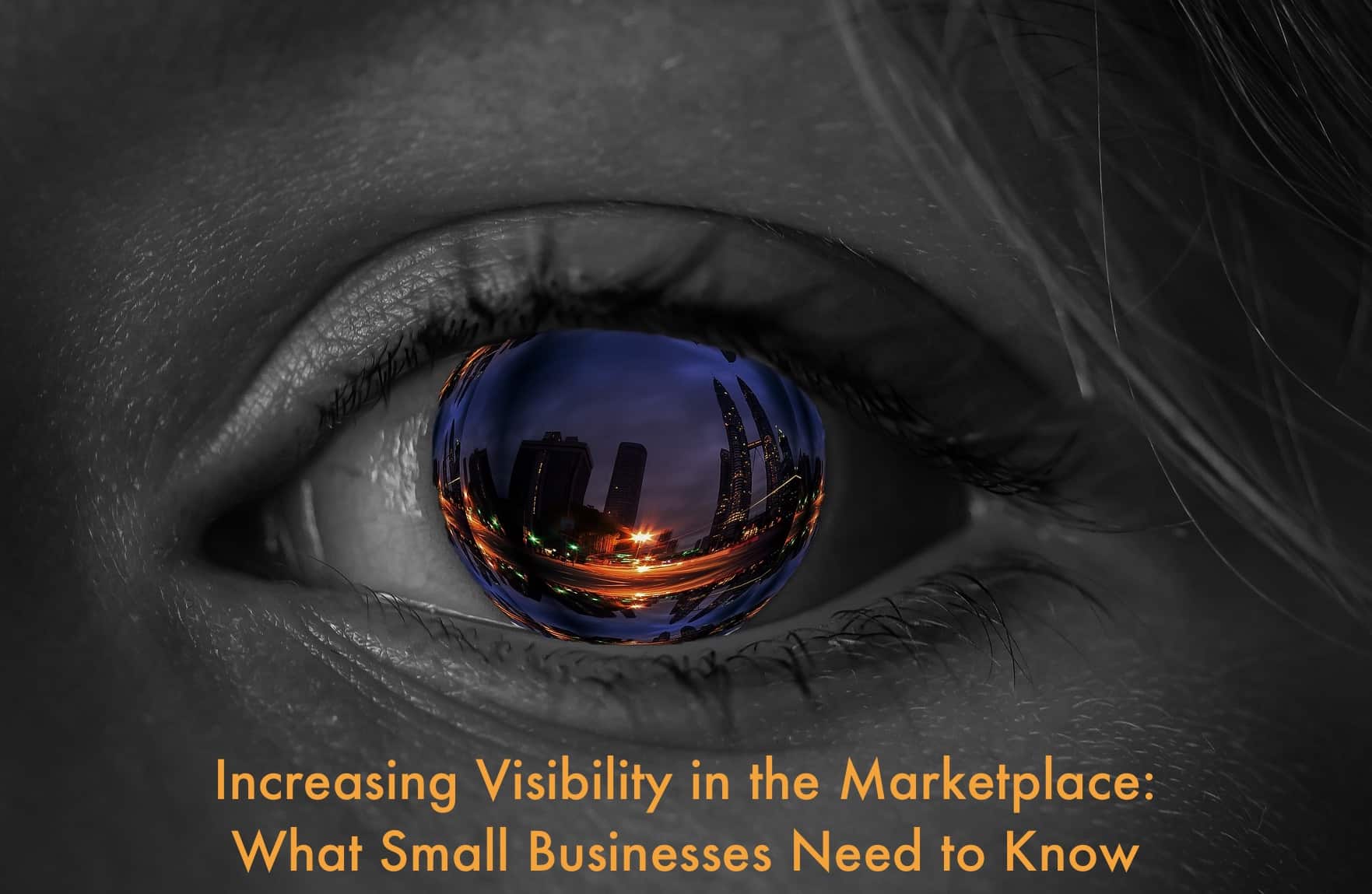Visibility_Small_Biz